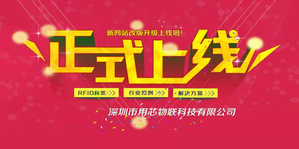 南京睿智医疗信息技术有限公司网站上线
